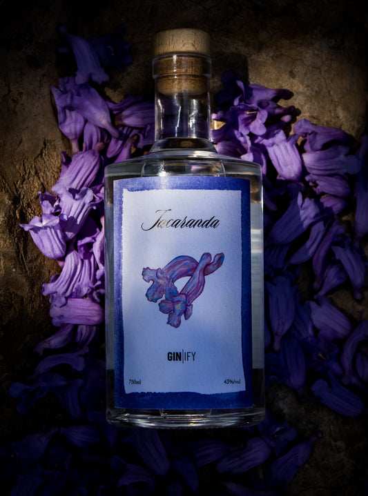 Jacaranda